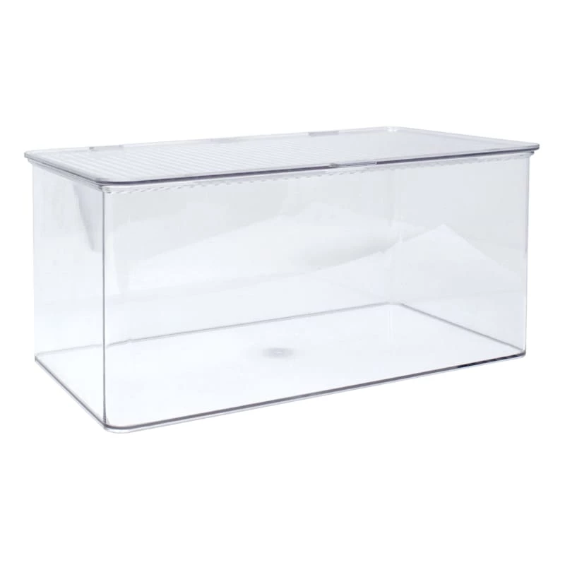 Clear Hinged Storage Bin, Large 1 Clear Hinged Storage Bin, Large
