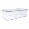 Clear Hinged Storage Organizer, Medium