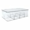 Clear Section Organizer, Medium