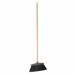 Grey Angled Broom